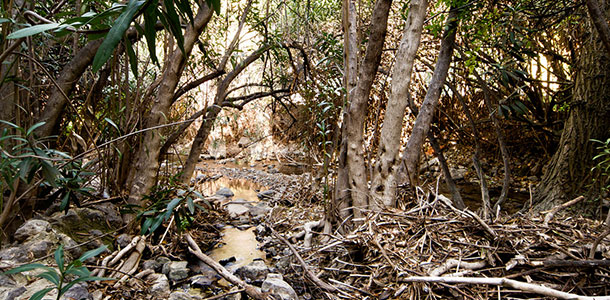 paraje-cuadros